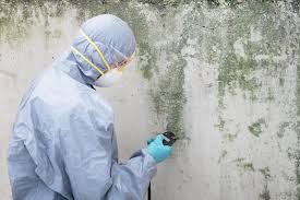 Russell, PA Mold Removal Company